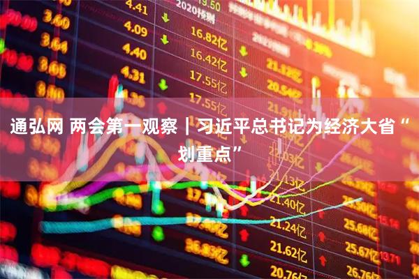 通弘网 两会第一观察｜习近平总书记为经济大省“划重点”