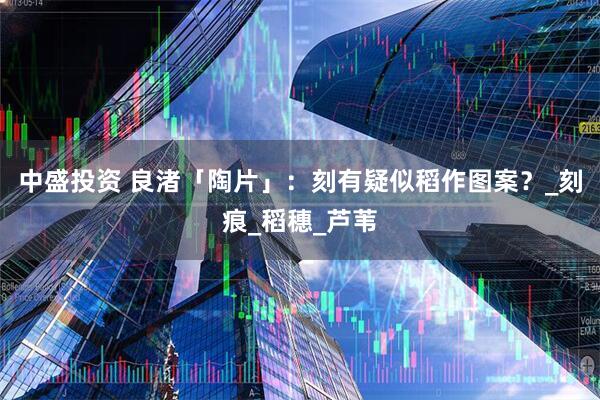 中盛投资 良渚「陶片」：刻有疑似稻作图案？_刻痕_稻穗_芦苇