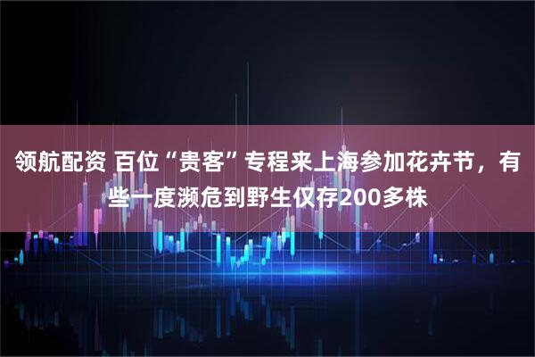 领航配资 百位“贵客”专程来上海参加花卉节，有些一度濒危到野生仅存200多株