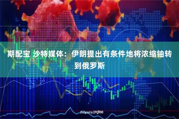 期配宝 沙特媒体：伊朗提出有条件地将浓缩铀转到俄罗斯