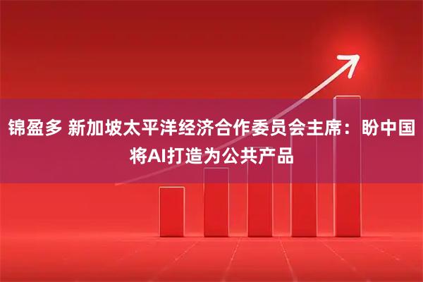 锦盈多 新加坡太平洋经济合作委员会主席：盼中国将AI打造为公共产品