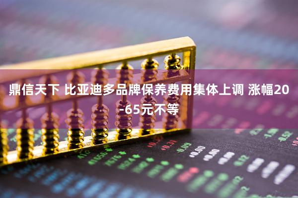 鼎信天下 比亚迪多品牌保养费用集体上调 涨幅20-65元不等