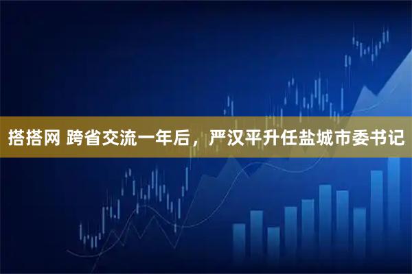 搭搭网 跨省交流一年后，严汉平升任盐城市委书记